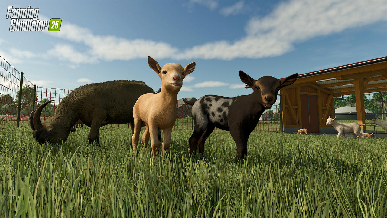 模拟农场25 Farming Simulator 25 V1.11.0.0.Build.19834238.20250902+季票+预购特典+全DLC 免安装中文豪华版[40.0GB]【B6016】
